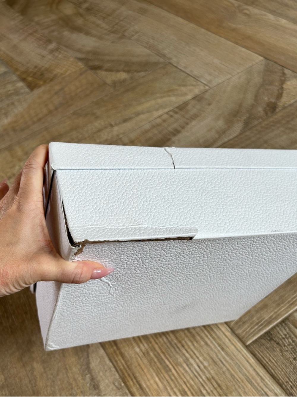 Dior Saddle Bag coral with Iridescent Hardware - Picture 7 of 7